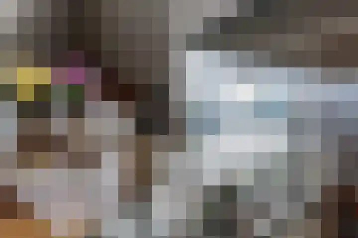 Boompjes 576 Rotterdam thumbnail 17