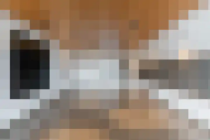 Boompjes 576 Rotterdam thumbnail 31