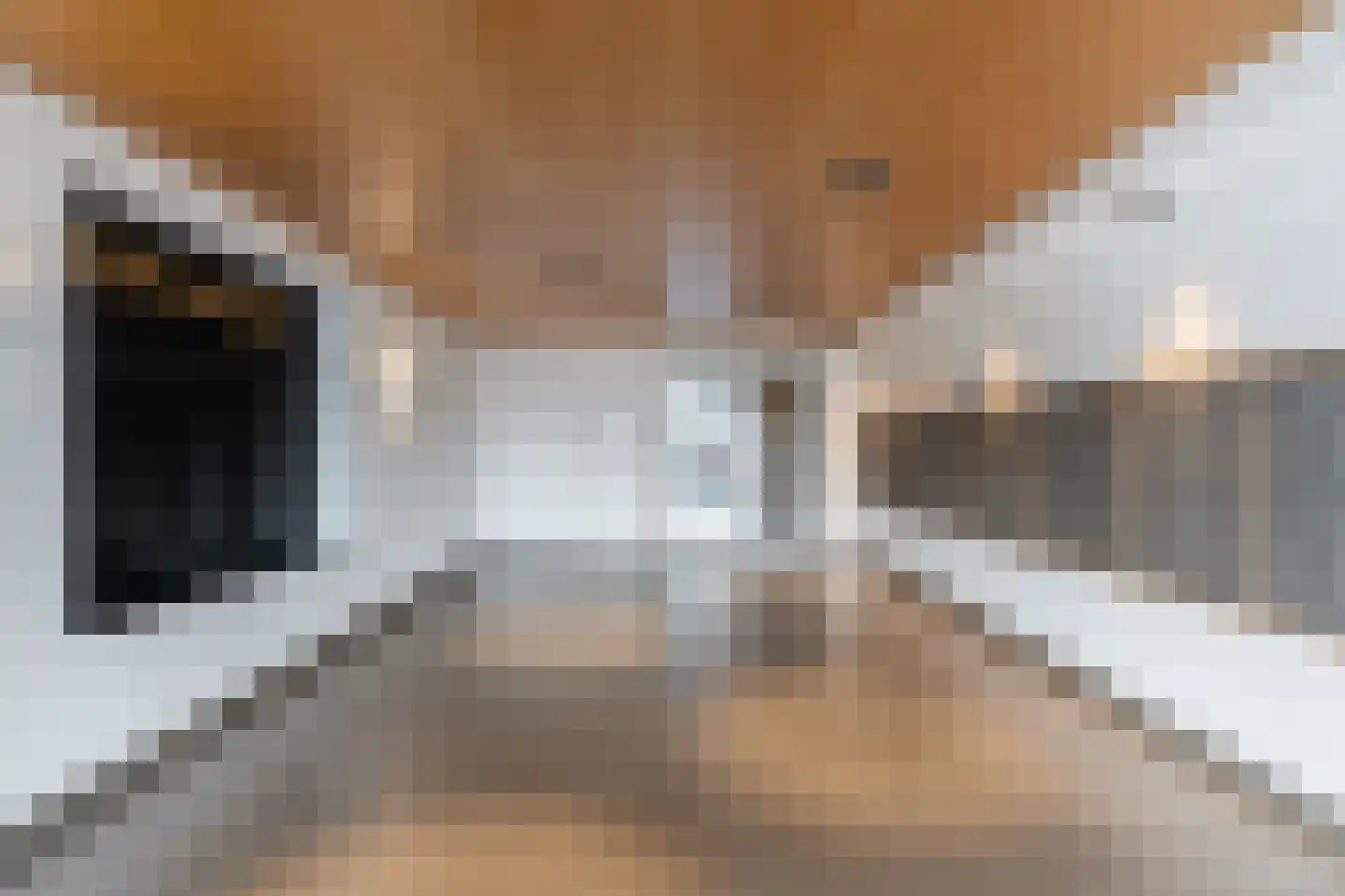 Boompjes 576 Rotterdam thumbnail 31