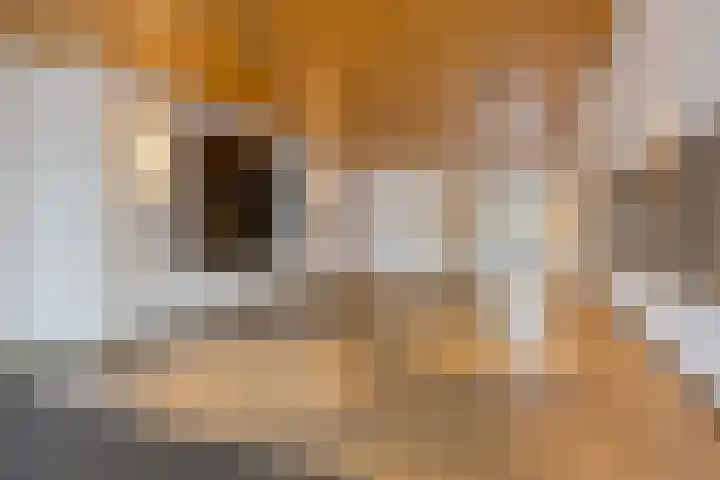 Boompjes 582 Rotterdam thumbnail 17