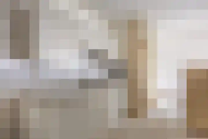 Boompjes 582 Rotterdam thumbnail 8