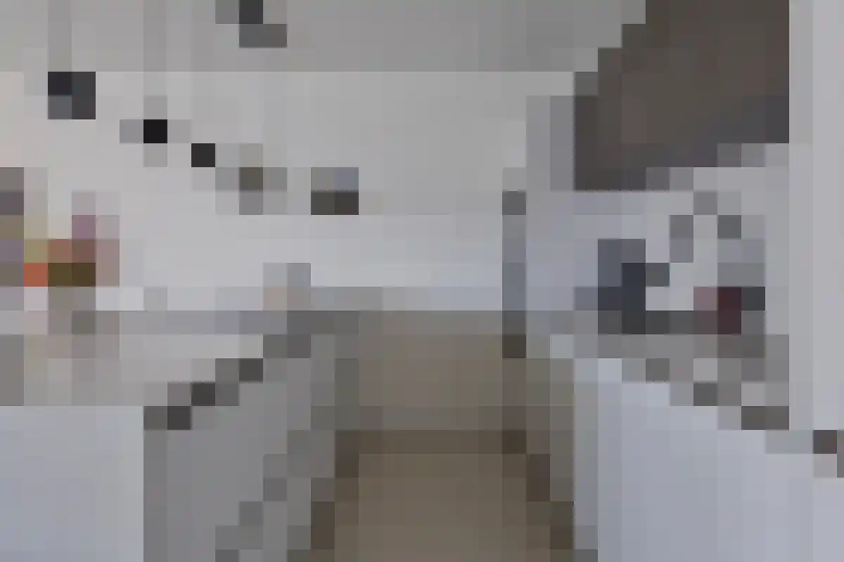 Boompjes 624 Rotterdam thumbnail 5
