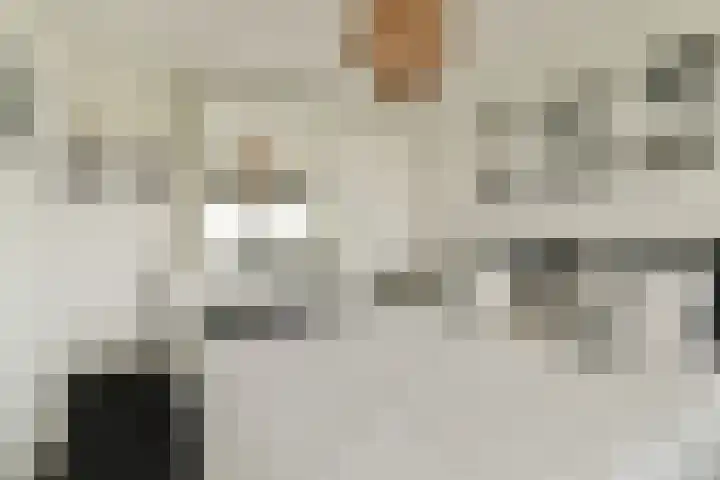 Boompjes 642 Rotterdam thumbnail 9
