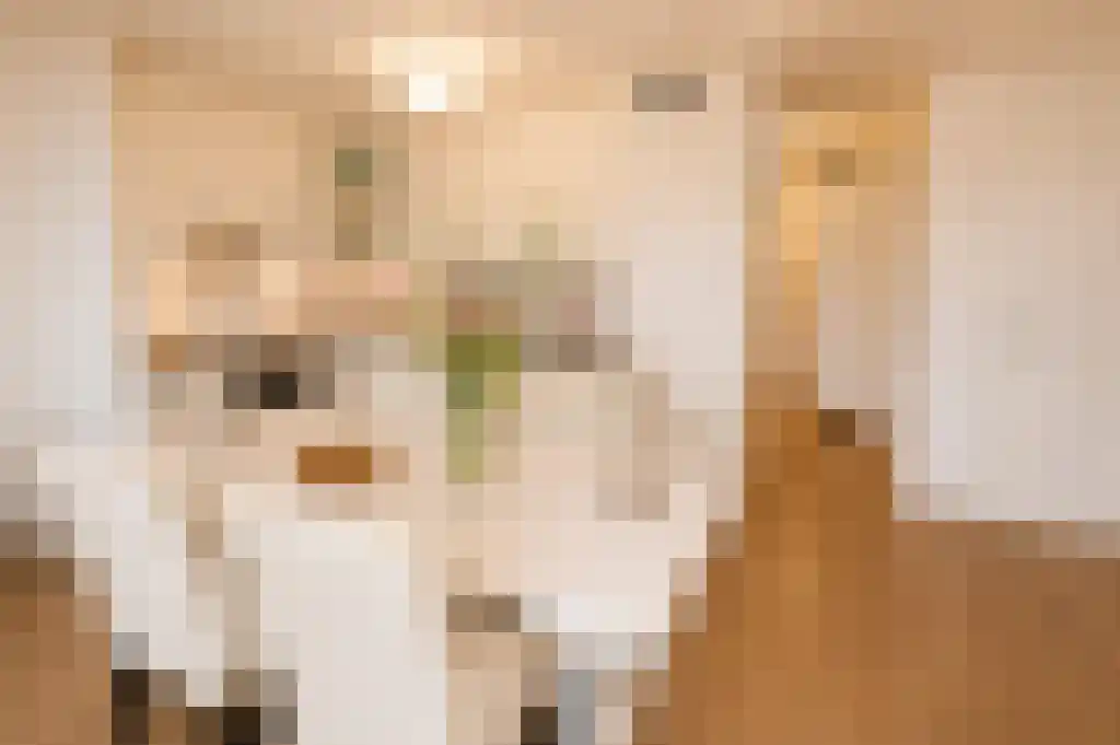 Boompjes 648 Rotterdam thumbnail 4