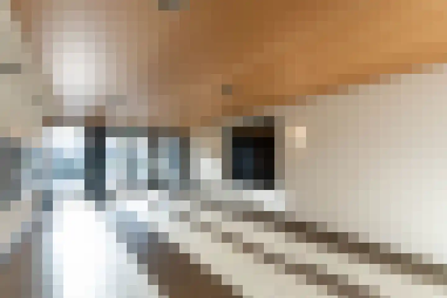 Boompjes 663 Rotterdam thumbnail 14