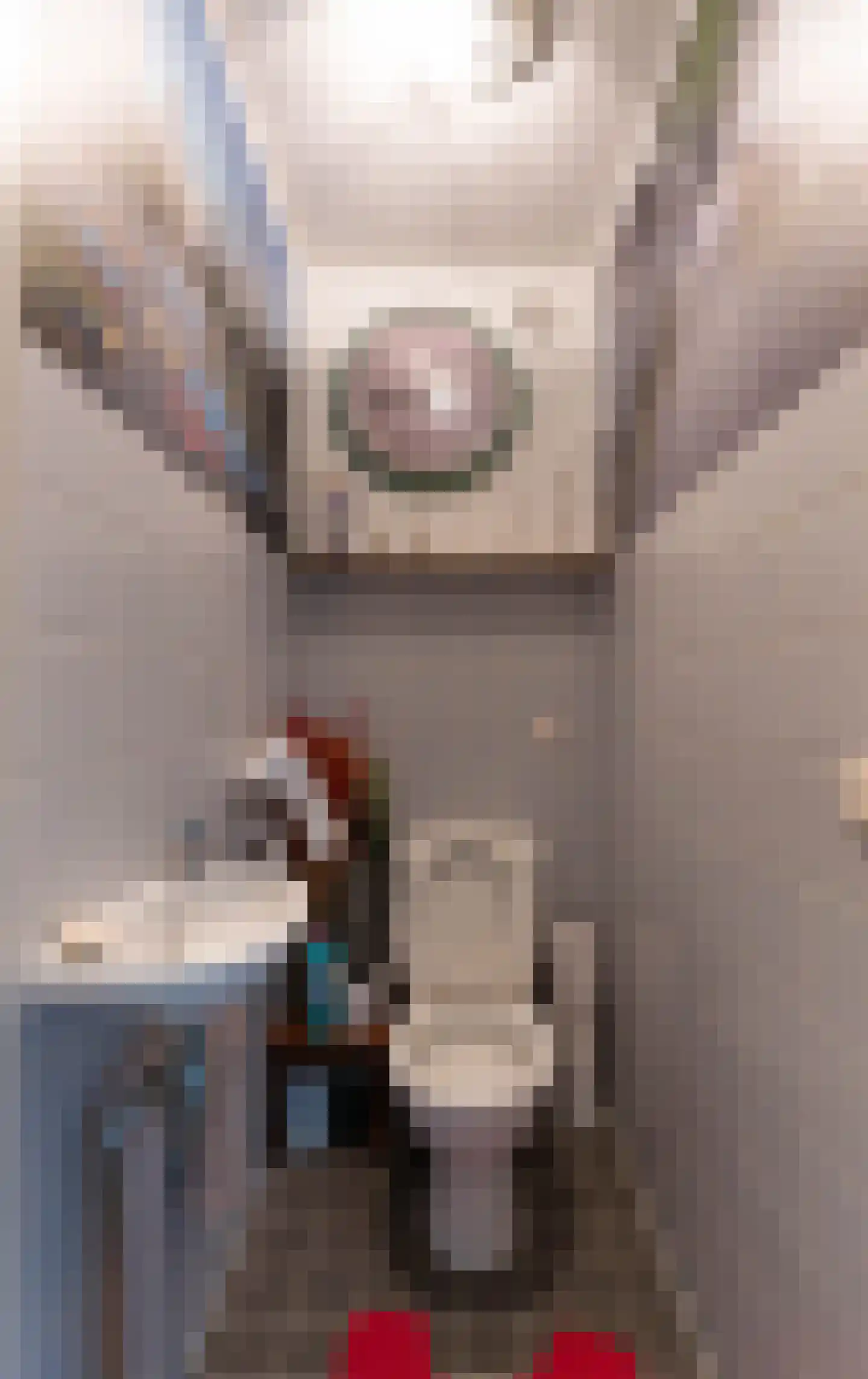 Boompjes 663 Rotterdam thumbnail 8