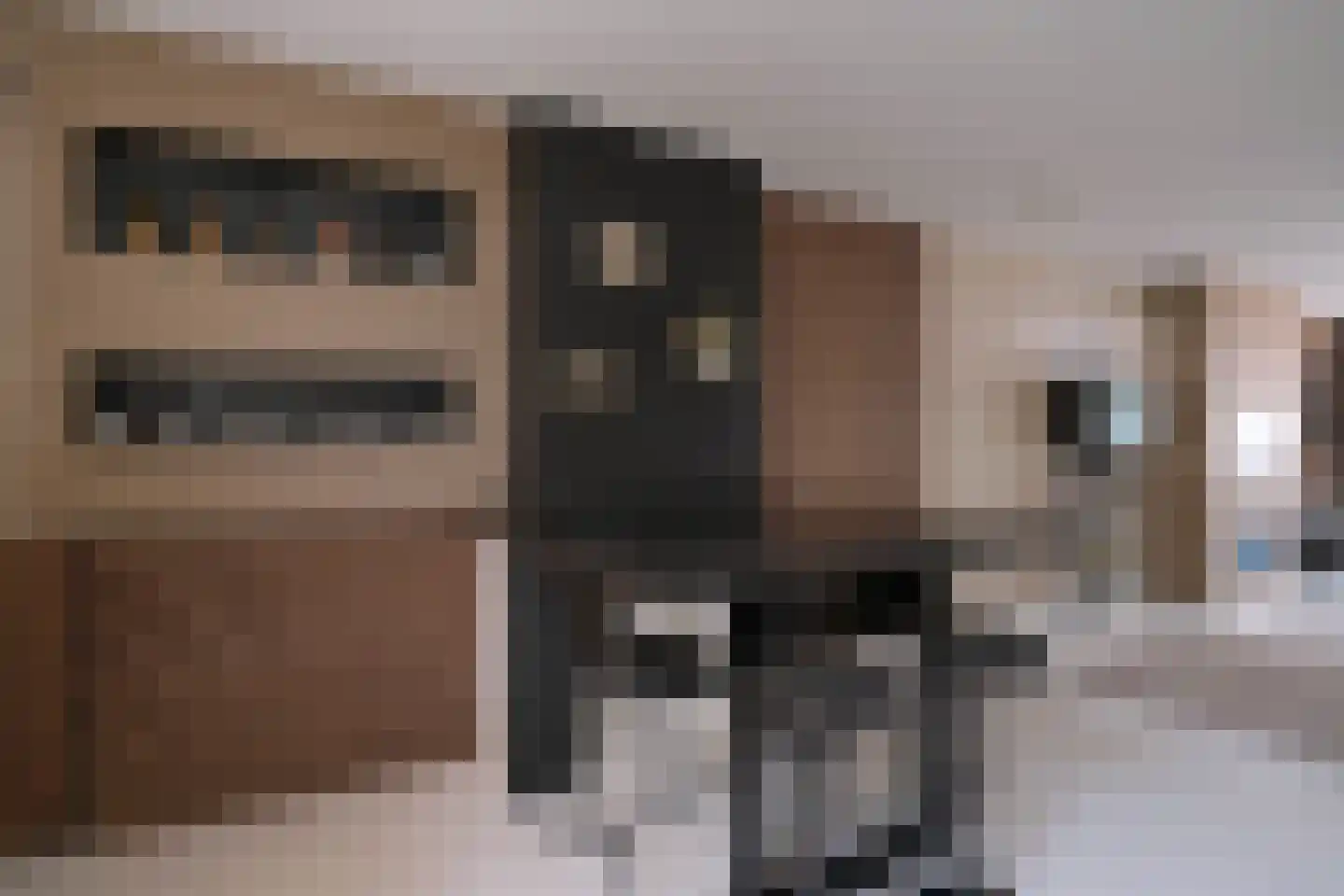 Boompjes 9 Almelo thumbnail 12