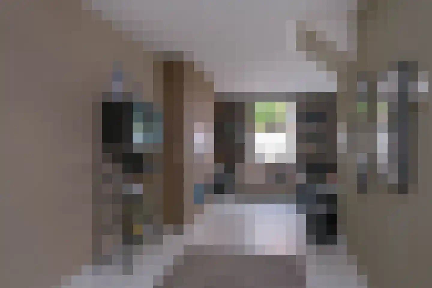 Boompjes 9 Almelo thumbnail 16