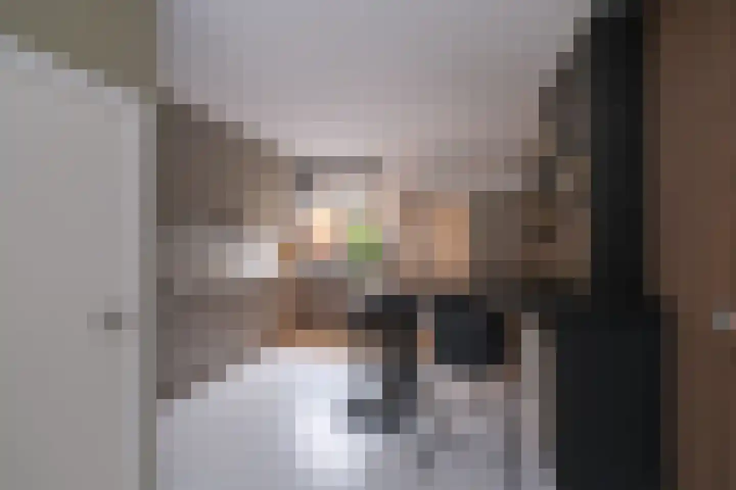 Boompjes 9 Almelo thumbnail 17
