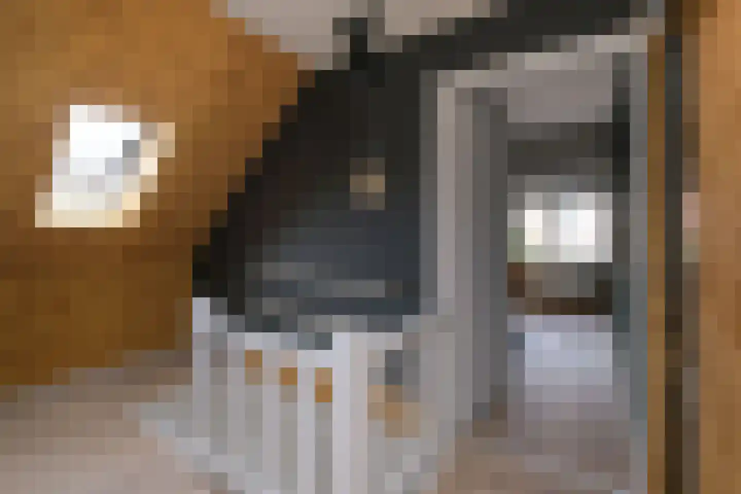 Boompjes 9 Almelo thumbnail 25