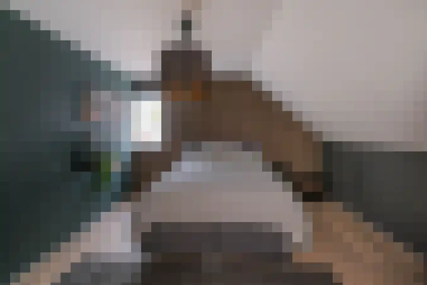 Boompjes 9 Almelo thumbnail 26