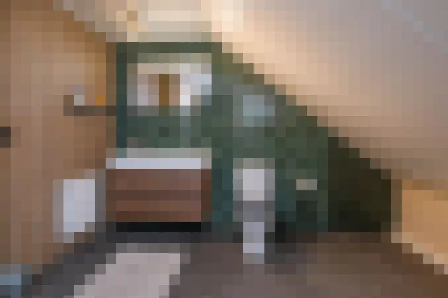 Boompjes 9 Almelo thumbnail 28