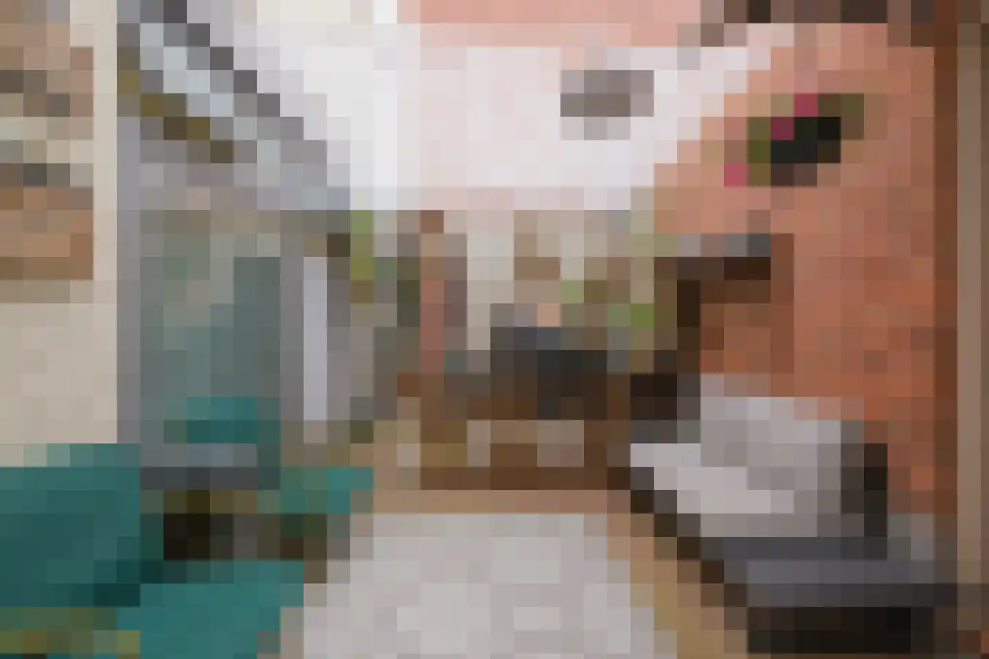 Boompjes 9 Almelo thumbnail 31