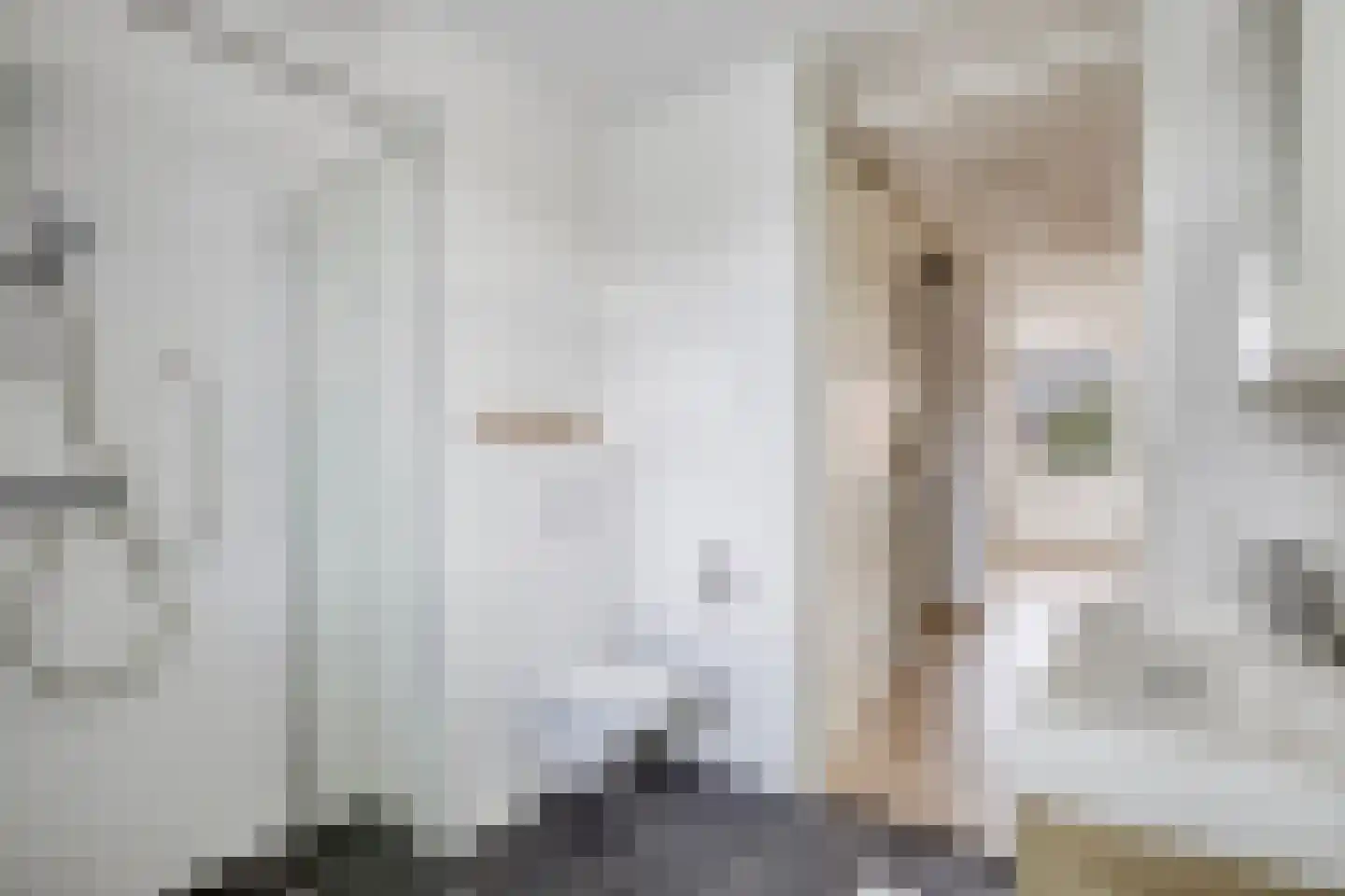 Boompjesgoed 14 A Veenendaal thumbnail 15