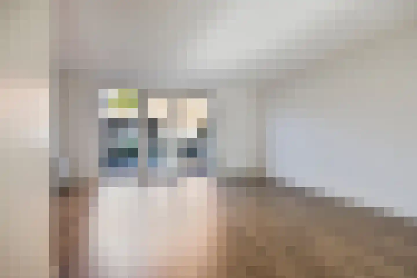 Boompjesgoed 14 A Veenendaal thumbnail 8