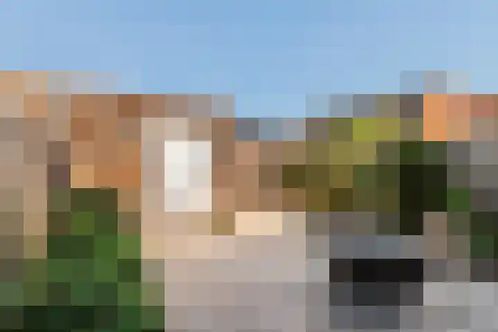 Boompjesgoed 14 E Veenendaal thumbnail 13
