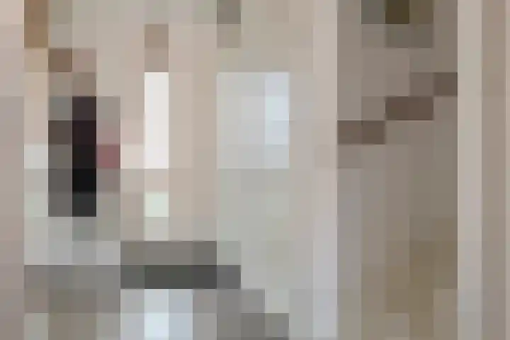 Boompjesgoed 14 E Veenendaal thumbnail 18