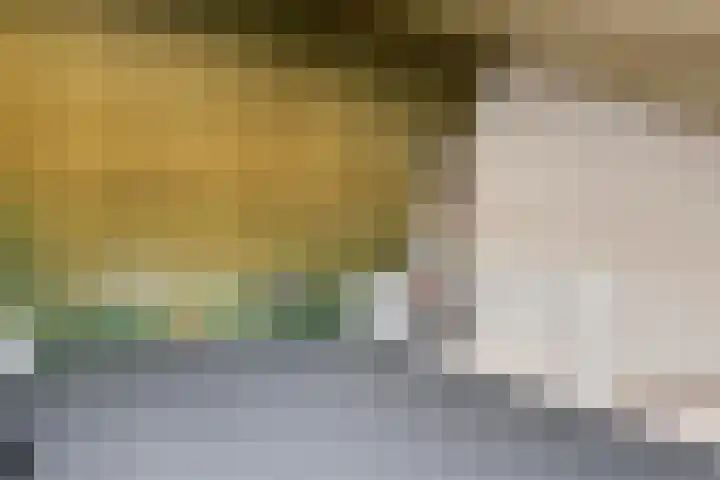 Boompjesgoed 14 E Veenendaal thumbnail 25