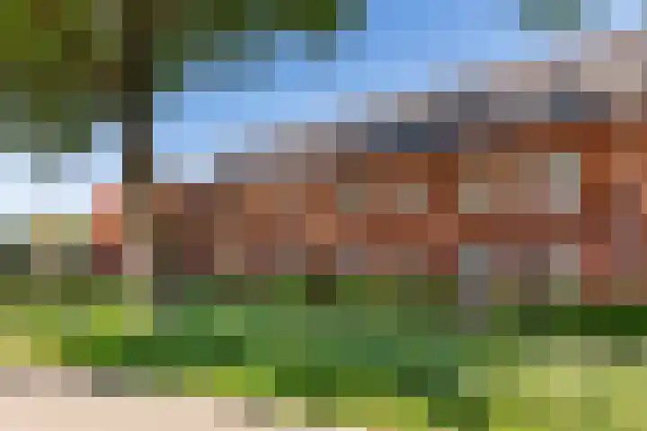 Boompjesgoed 14 E Veenendaal thumbnail 26