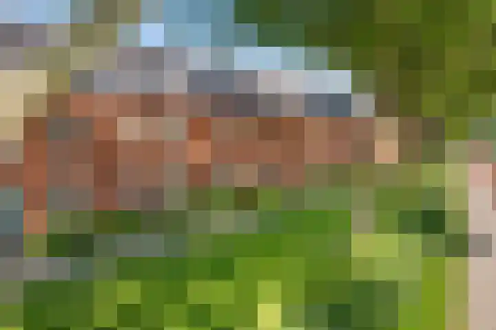 Boompjesgoed 14 E Veenendaal thumbnail 27