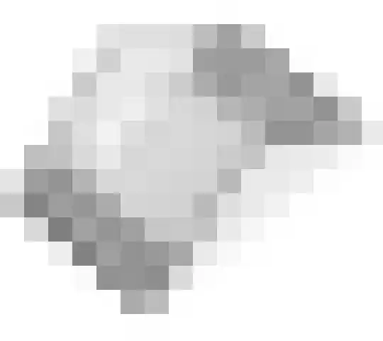 Boompjesgoed 14 E Veenendaal thumbnail 33