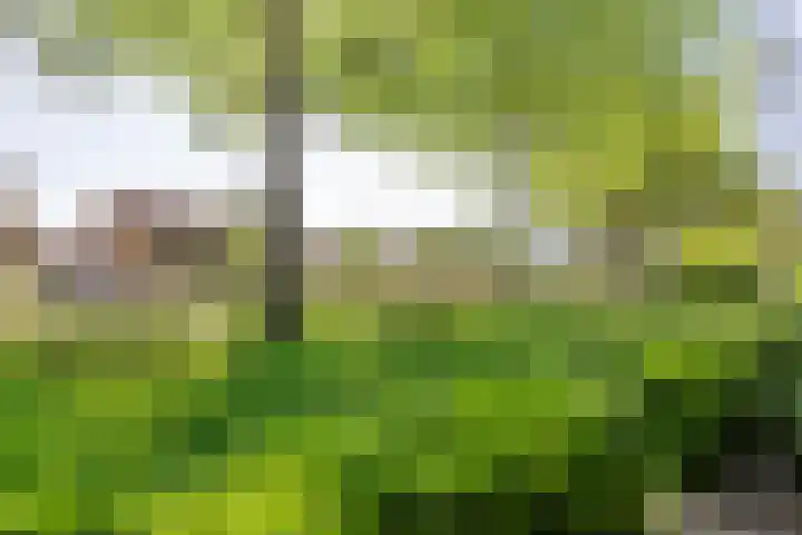 Boompjesgoed 14 E Veenendaal thumbnail 4