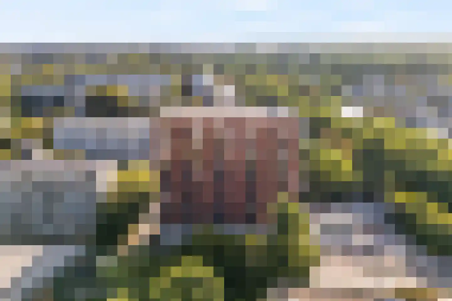 Boompjesgoed 217 23 Veenendaal thumbnail 26