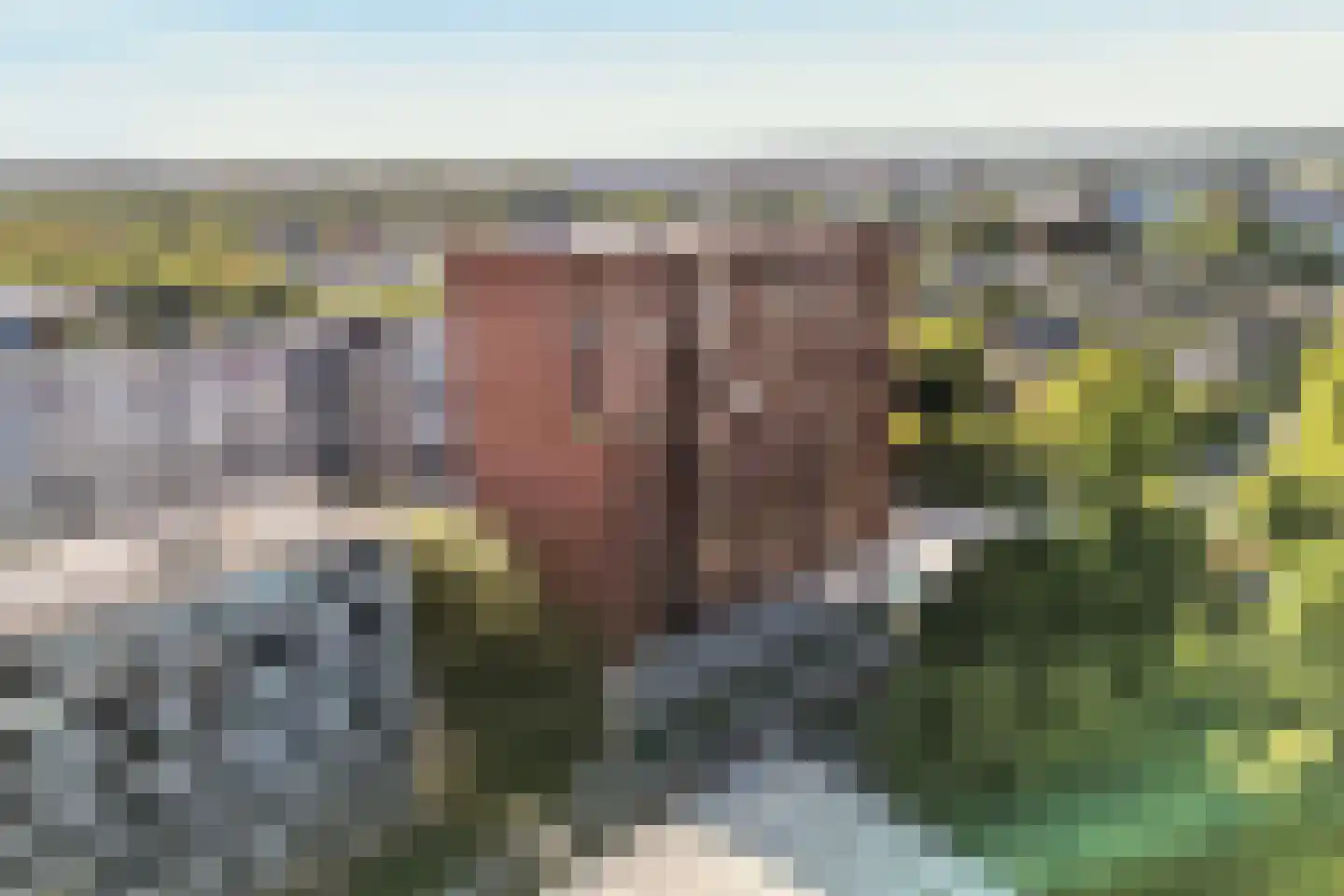 Boompjesgoed 217 23 Veenendaal thumbnail 31