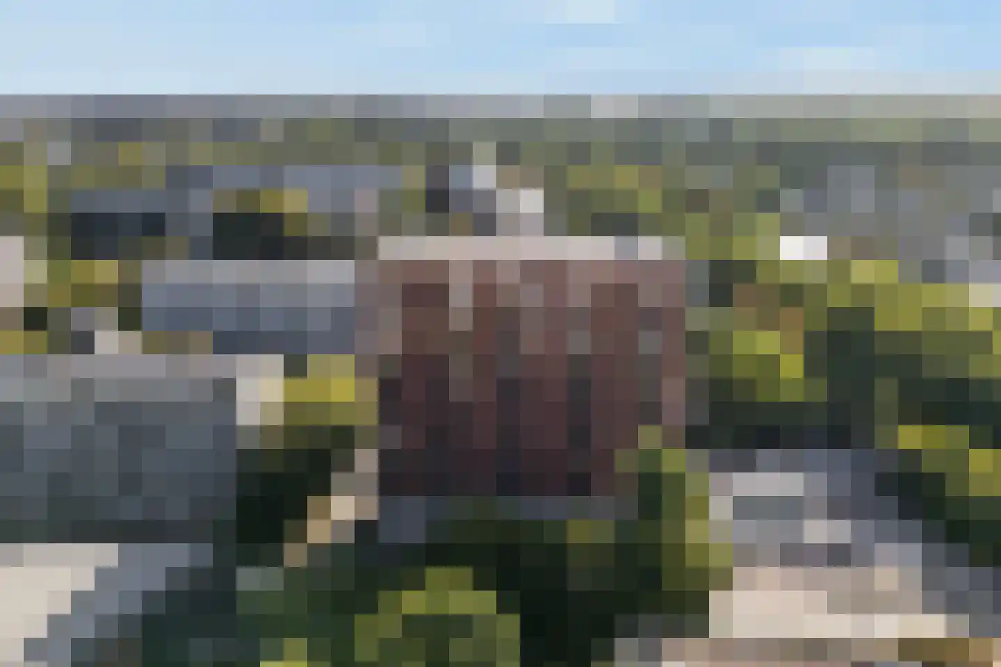 Boompjesgoed 217 34 Veenendaal thumbnail 30