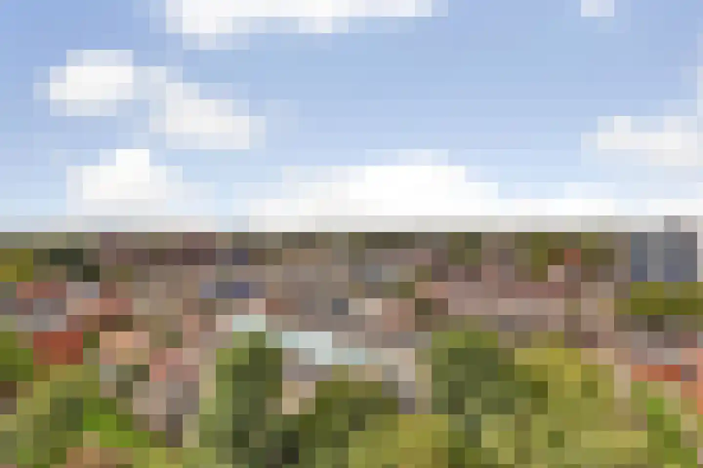 Boompjesgoed 217 70 Veenendaal thumbnail 13