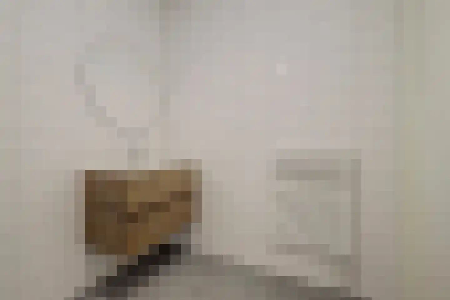 Boompjesgoed 217 70 Veenendaal thumbnail 20