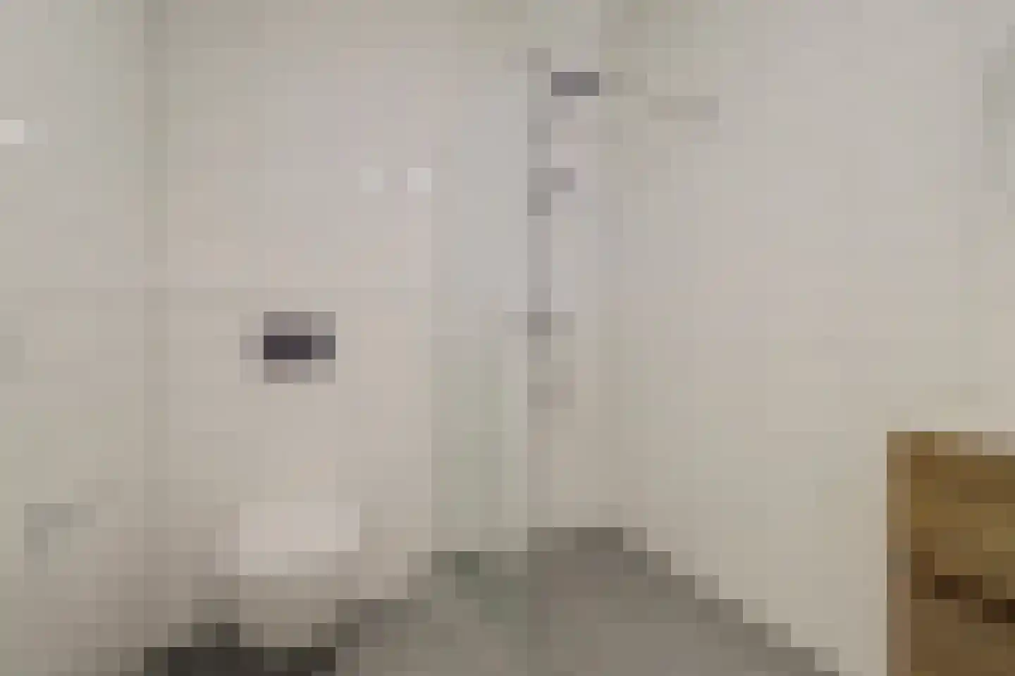 Boompjesgoed 217 70 Veenendaal thumbnail 21
