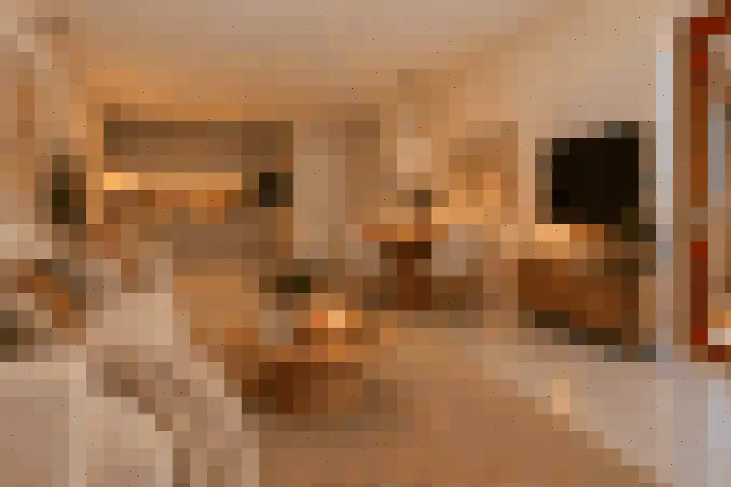 Boompjesgoed 217 70 Veenendaal thumbnail 9