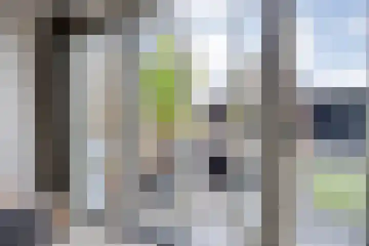 Boompjesgoed 231 Veenendaal thumbnail 15