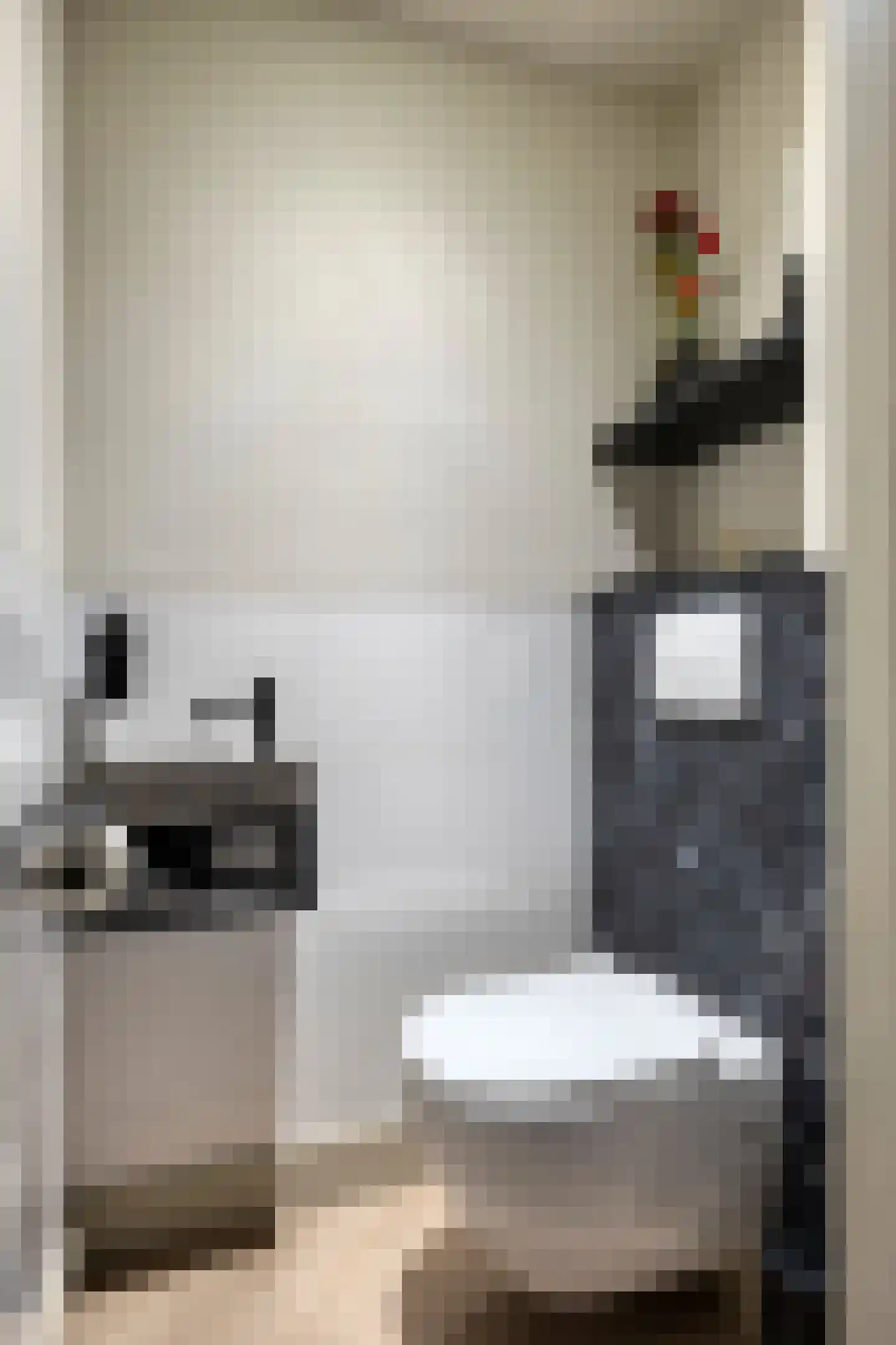 Boompjesgoed 231 Veenendaal thumbnail 17