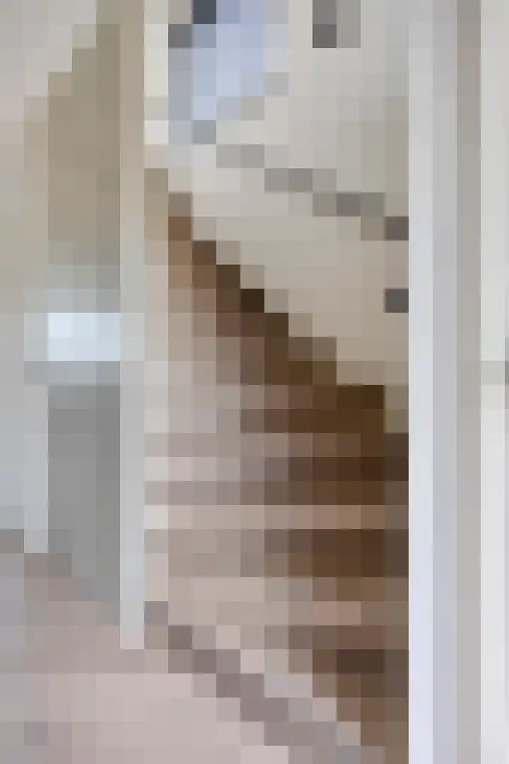 Boompjesgoed 231 Veenendaal thumbnail 18