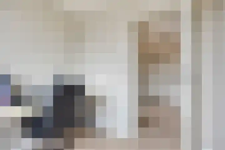 Boompjesgoed 231 Veenendaal thumbnail 28