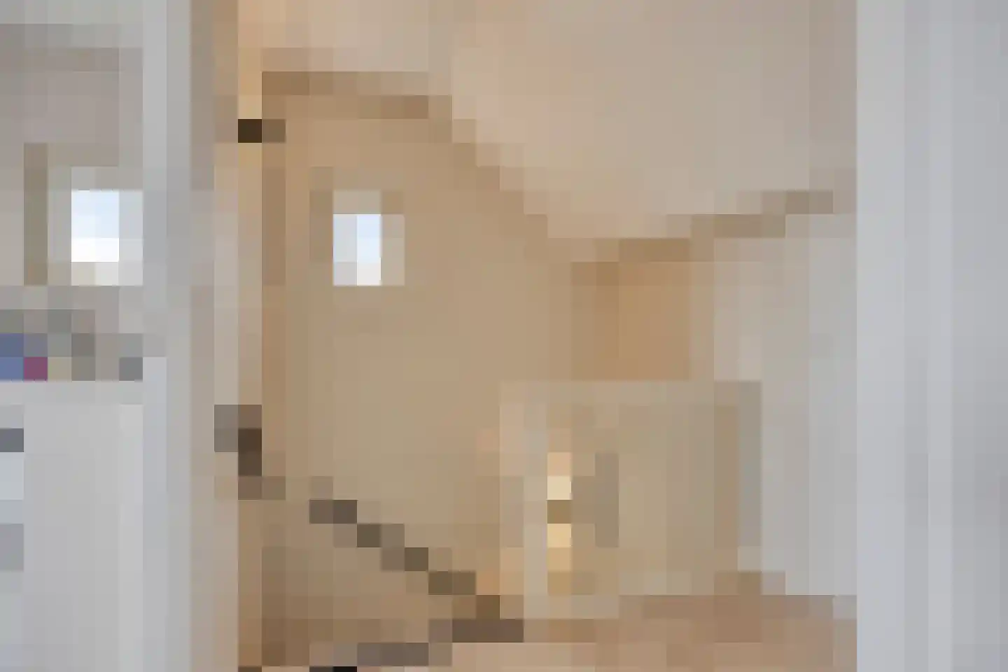 Boompjesgoed 231 Veenendaal thumbnail 33
