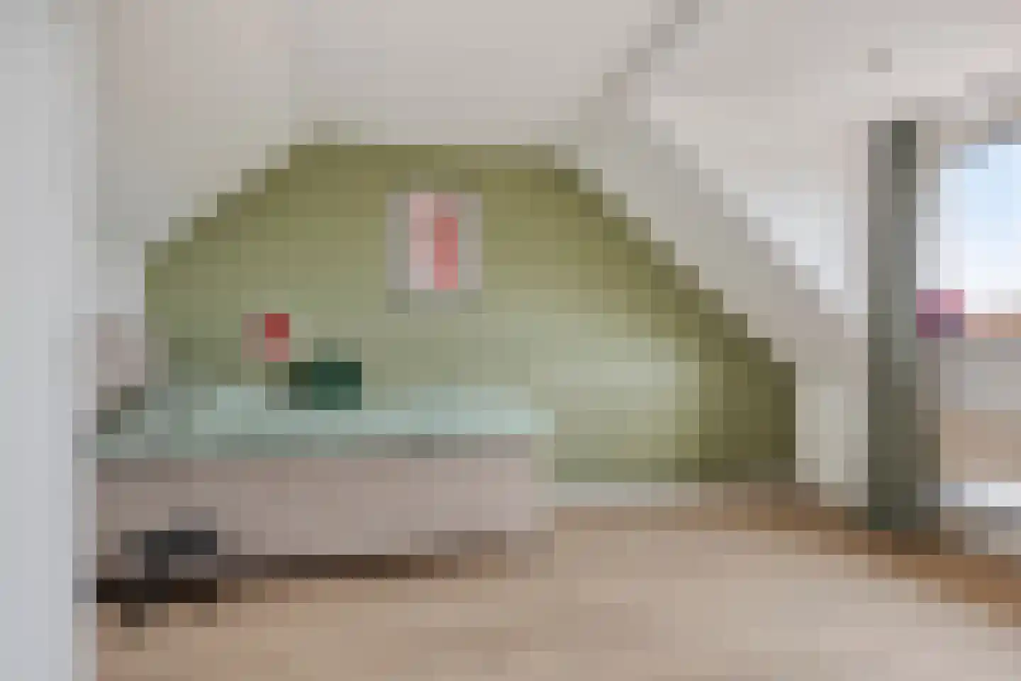 Boompjesgoed 231 Veenendaal thumbnail 34