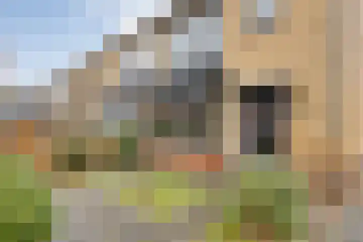 Boompjesgoed 231 Veenendaal thumbnail 4
