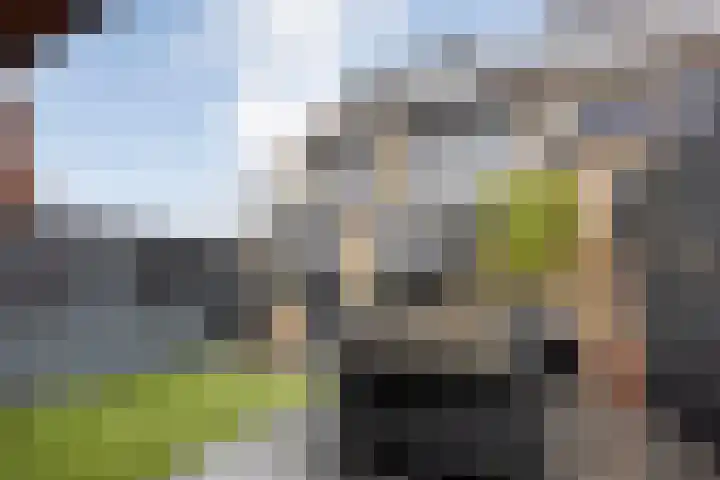 Boompjesgoed 231 Veenendaal thumbnail 44