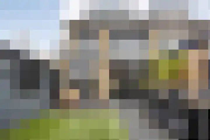 Boompjesgoed 231 Veenendaal thumbnail 45