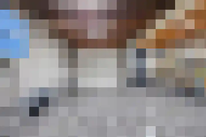 Boompjesgoed 231 Veenendaal thumbnail 46