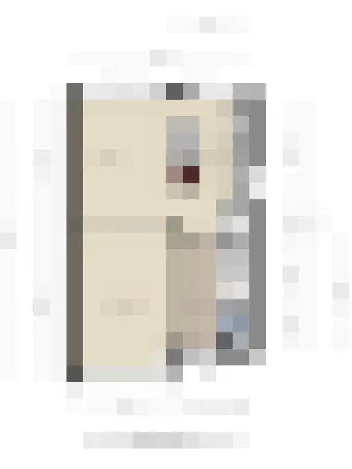 Boompjesgoed 231 Veenendaal thumbnail 49