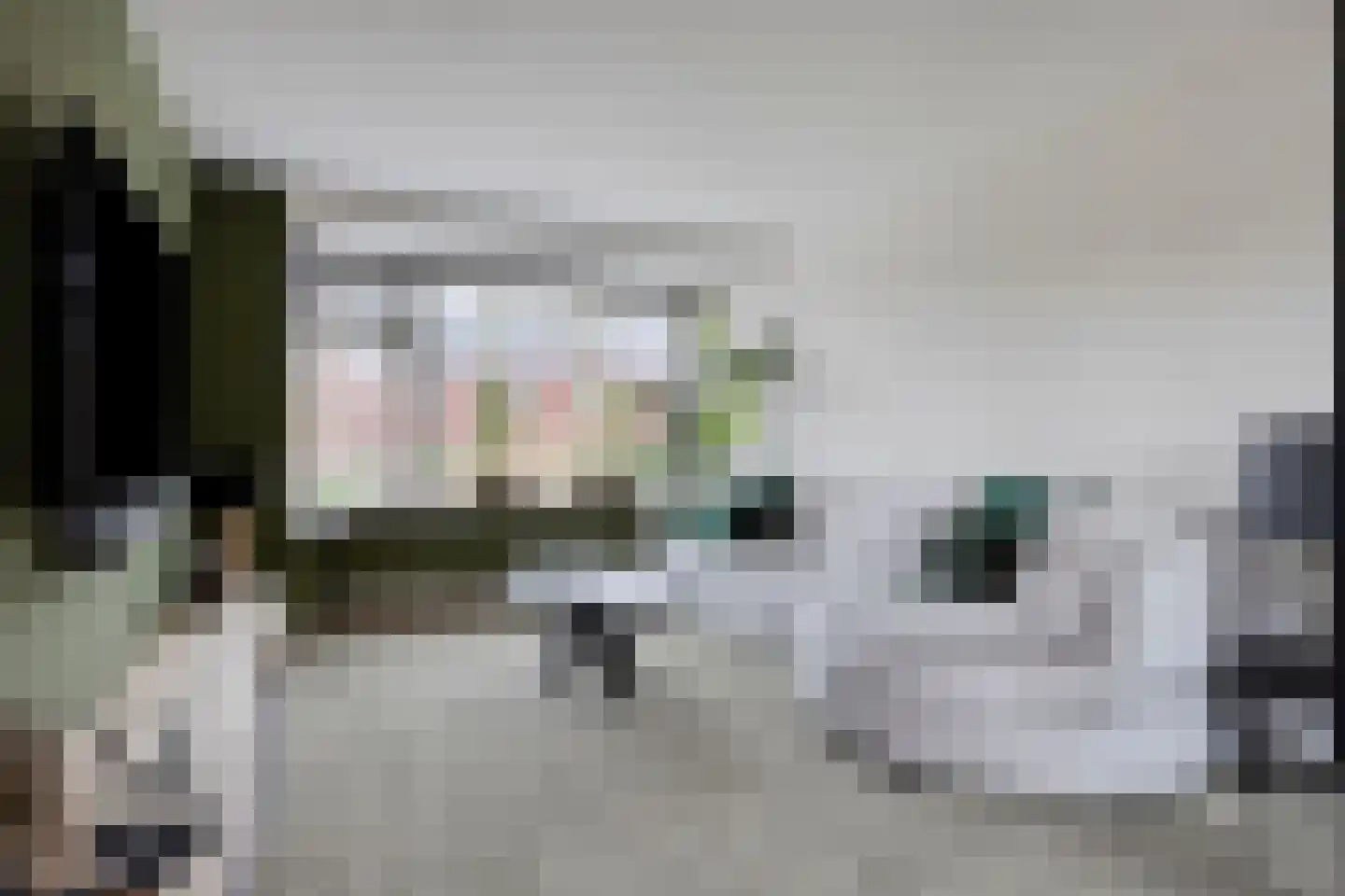 Boompjesgoed 231 Veenendaal thumbnail 5