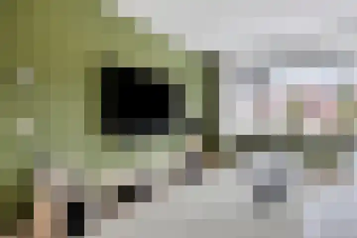 Boompjesgoed 231 Veenendaal thumbnail 6