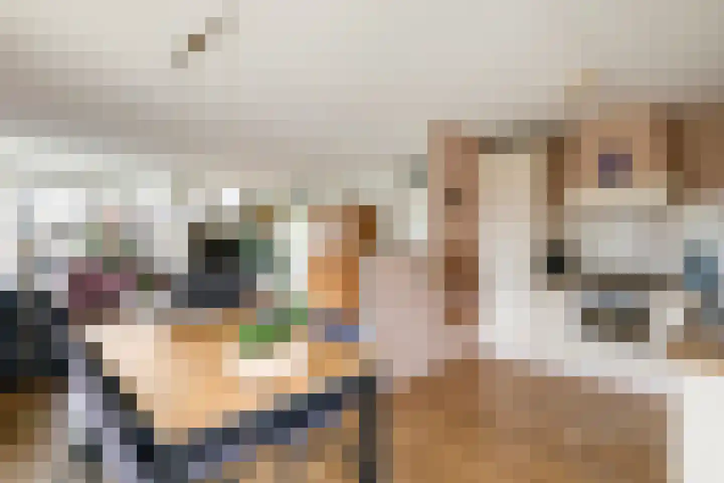 Boompjesgoed 4 G Veenendaal thumbnail 13