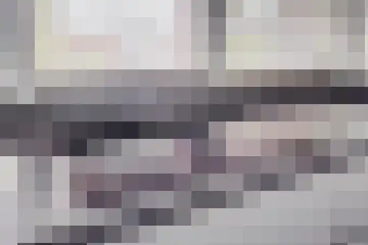 Boompjesgoed 6 B Veenendaal thumbnail 13