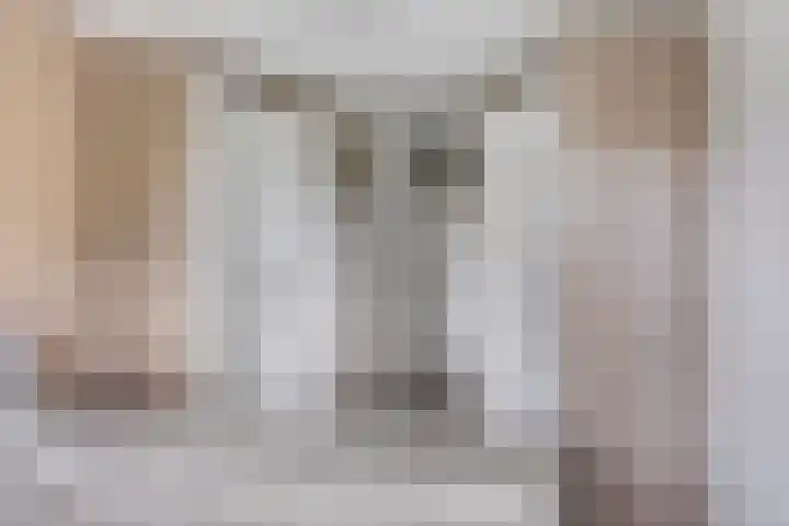 Boompjesgoed 6 B Veenendaal thumbnail 17
