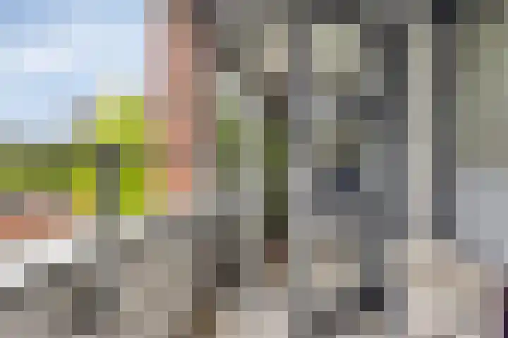 Boompjesgoed 6 B Veenendaal thumbnail 27